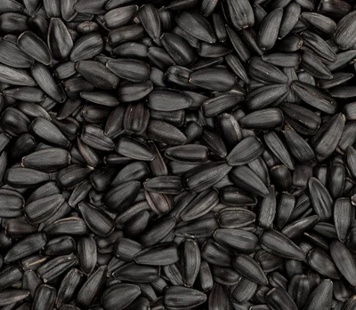Aceite de Comino Negro